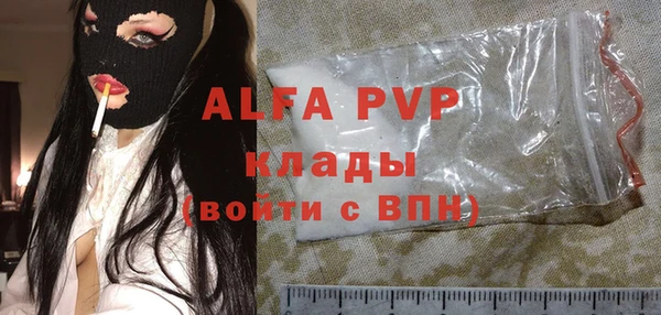 прущий лед Абаза