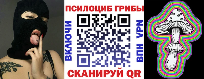 магазин продажи наркотиков  Новочеркасск  Галлюциногенные грибы Cubensis 